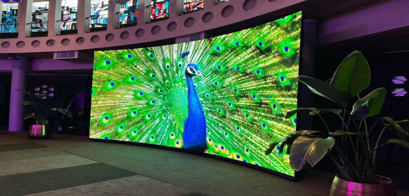location led wall studio livestream